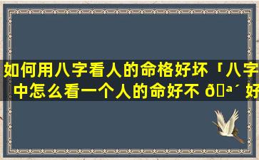 如何用八字看人的命格好坏「八字中怎么看一个人的命好不 🪴 好」